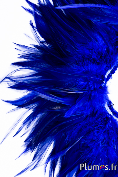Frange coq - long. plumes 10-15 cm - bleu